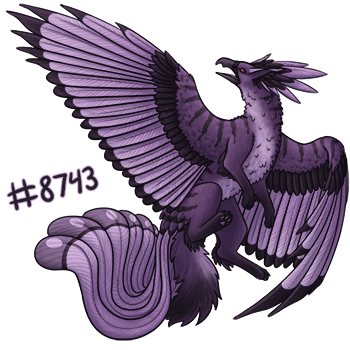 Roc Clouddancer Type 1